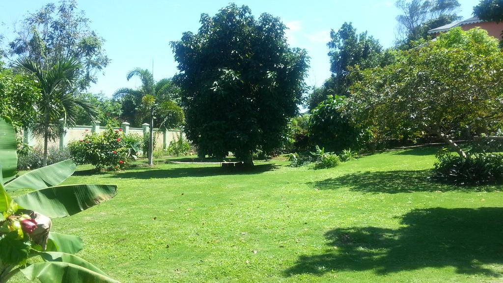 Pimento Lodge Resort Port Antonio Dış mekan fotoğraf