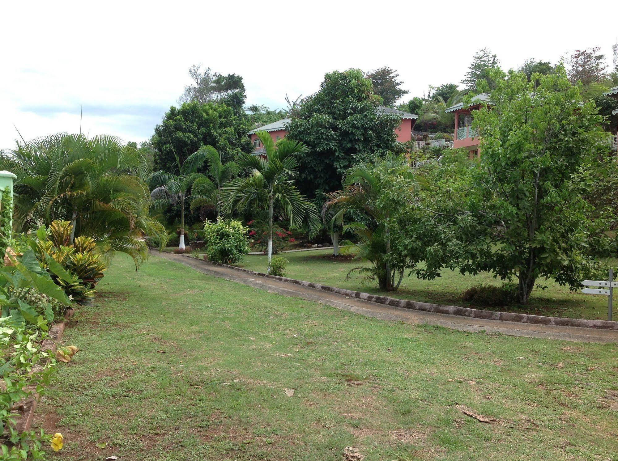 Pimento Lodge Resort Port Antonio Dış mekan fotoğraf